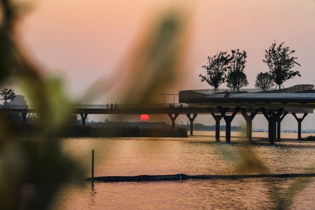 青浦4.jpg