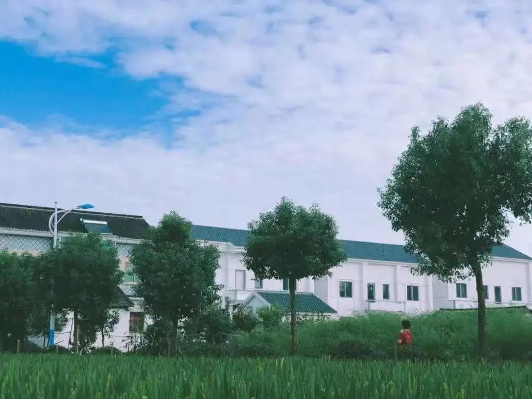 青浦9.jpg