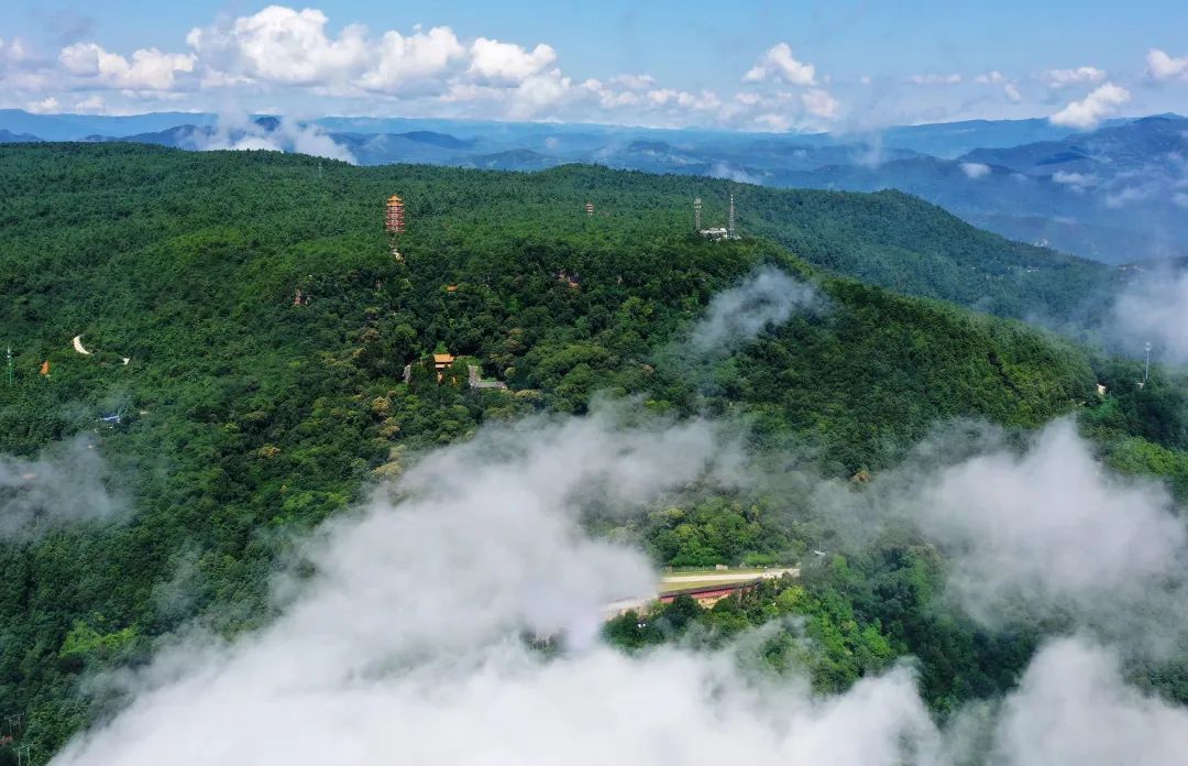 武定狮子山 花云 摄