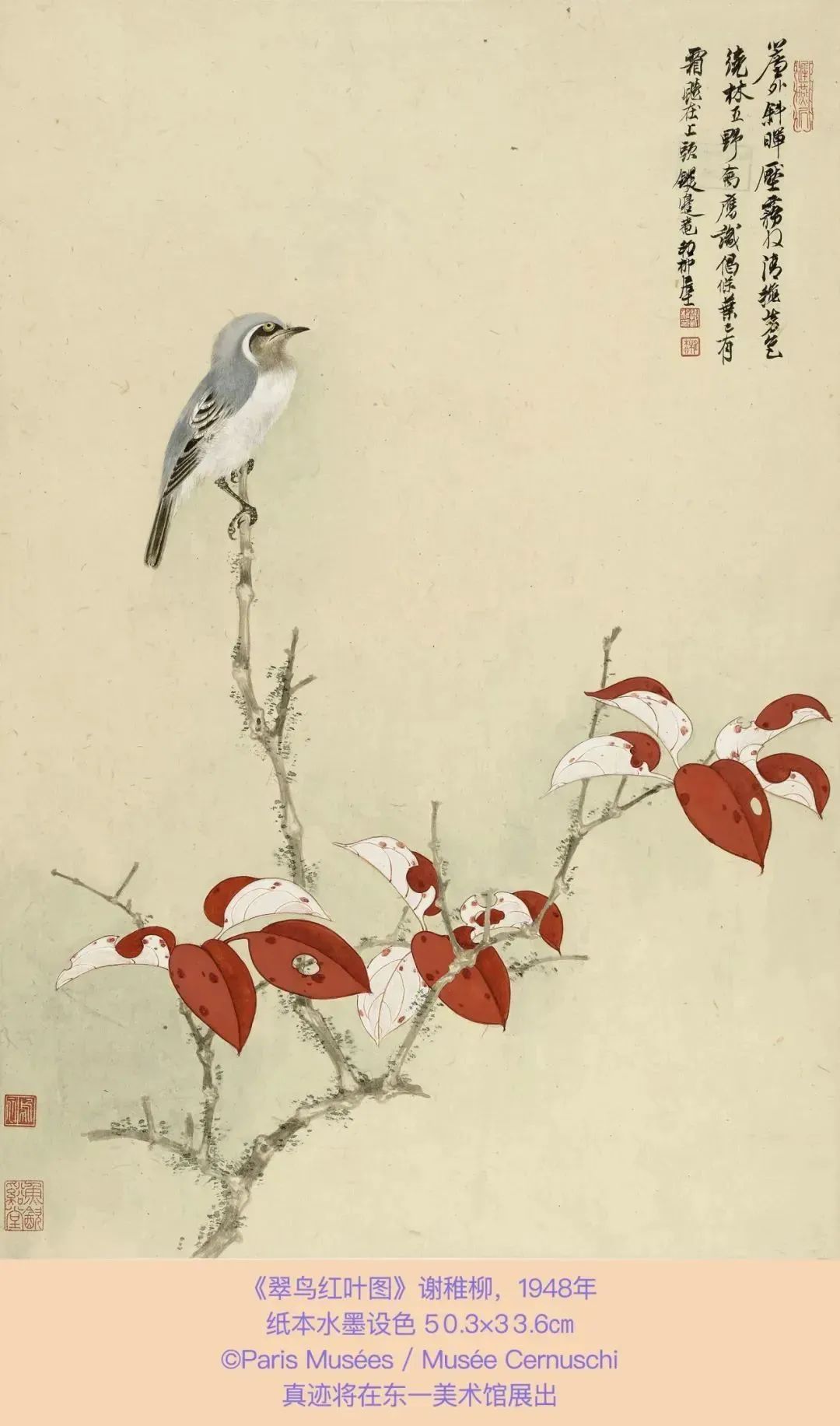 巴黎赛努奇博物馆藏现当代中国绘画展9.jpg