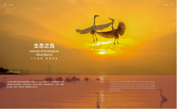 （校）这四本书里藏着广东最美的模样，90%的人看完都想立刻出发！784.png