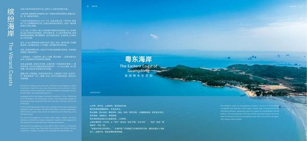 图片8.jpg