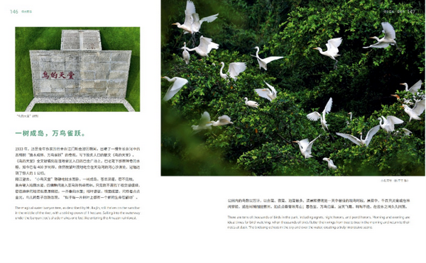 （校）这四本书里藏着广东最美的模样，90%的人看完都想立刻出发！362.png