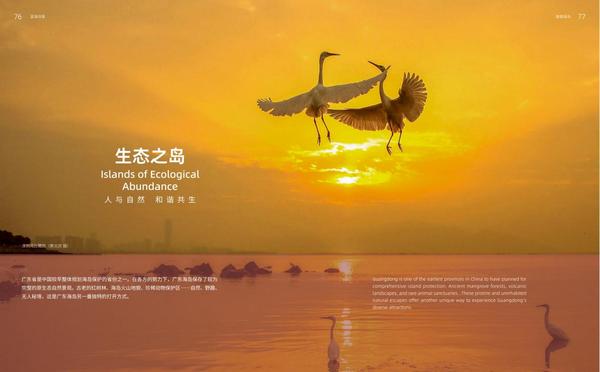 图片10.jpg
